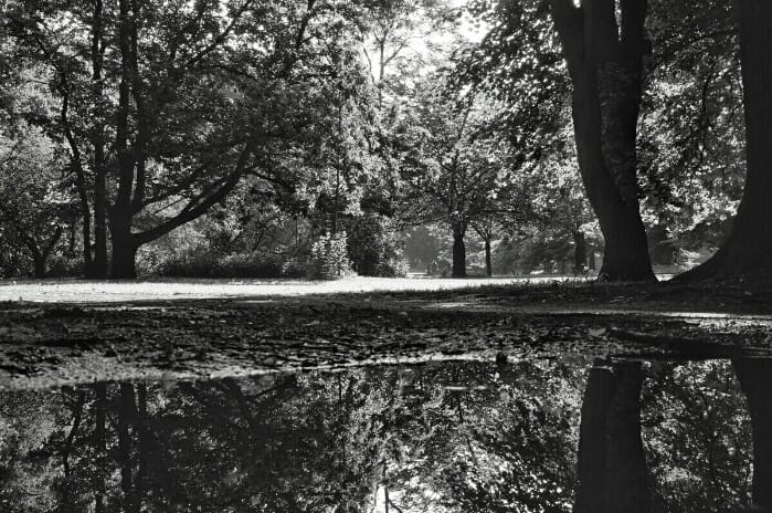 Humboldhain Berlin Foto Ron Kirchner