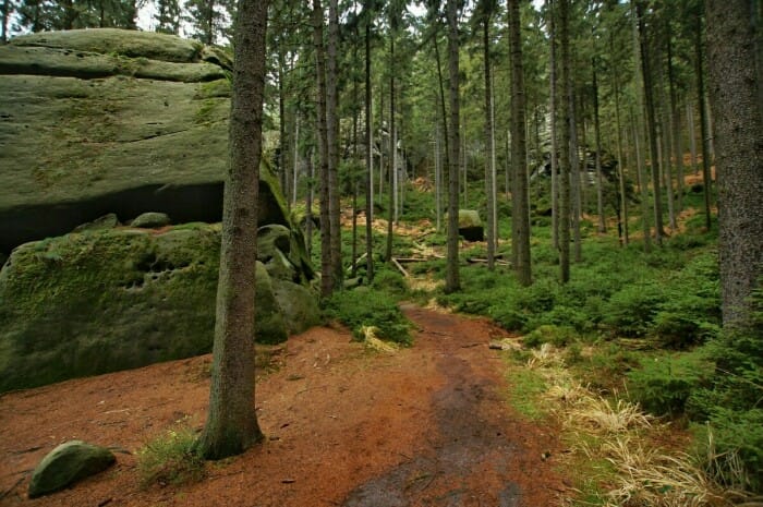 Malerweg Elbsandsteingebirge Ron Kirchner Foto